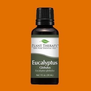 Eucalyptus Globulus er ein þekktasta ilmkjarnaolía heims