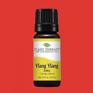 Ylang Ylang Extra er ákaflega sætur og þéttur blómailmur